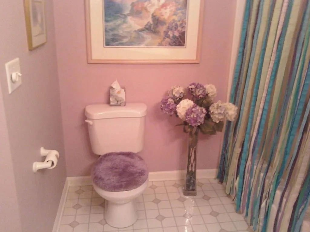 Brimley Interior Painting Project by MSG Painting, Clermont FL