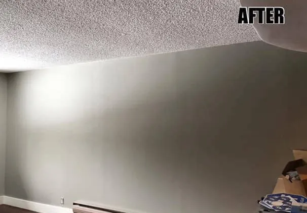 Redmond Interior Painting Project by MSG Painting, Clermont FL