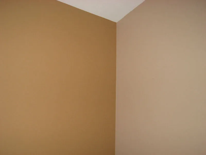 Roggin Interior Painting Project by MSG Painting, Clermont FL