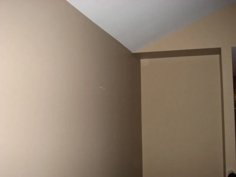 Roggin Interior Painting Project by MSG Painting, Clermont FL