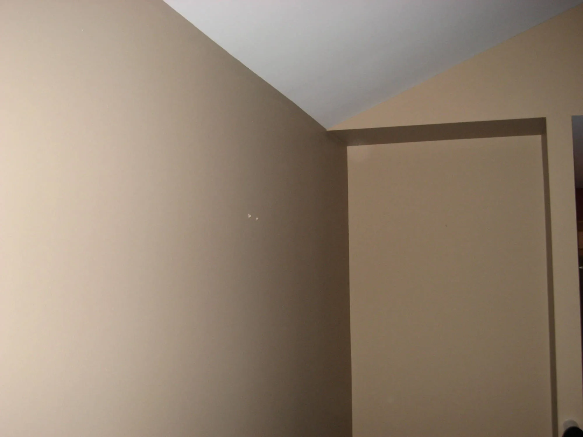 Roggin Interior Painting Project by MSG Painting, Clermont FL