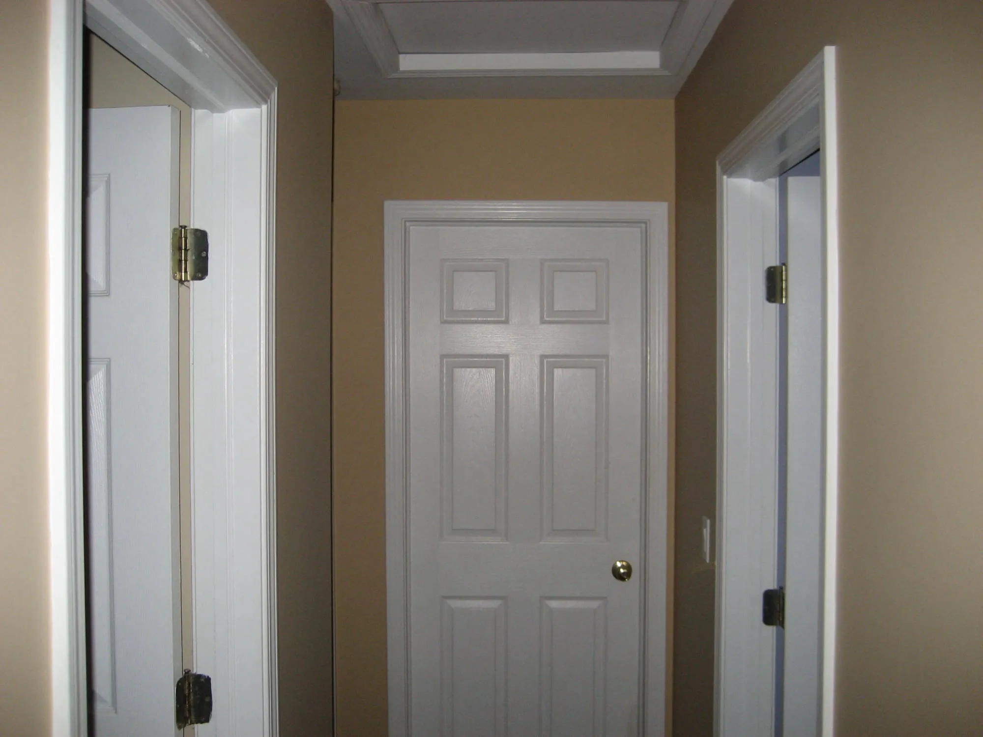 Roggin Interior Painting Project by MSG Painting, Clermont FL