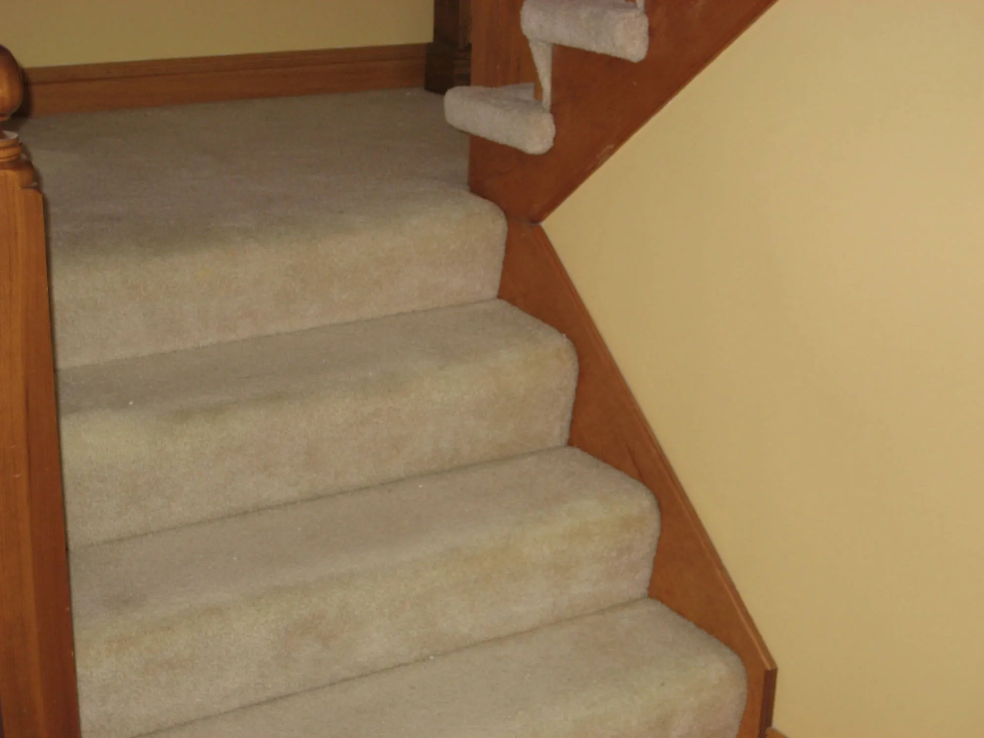 Adam Interior Painting Project by MSG Painting, Clermont FL