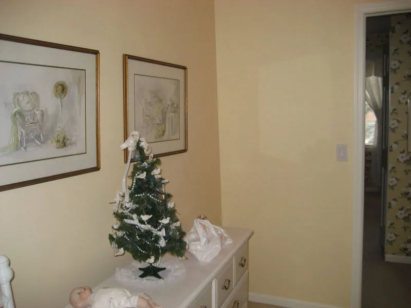 Adam Interior Painting Project by MSG Painting, Clermont FL